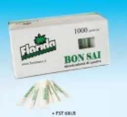 Cure dents en bois emballés (M)